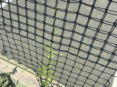 -杭州师范大学(下沙校区)