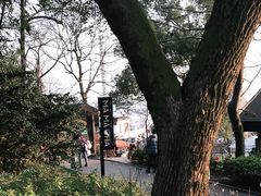 -MAMACHA妈妈茶(岳麓山店)
