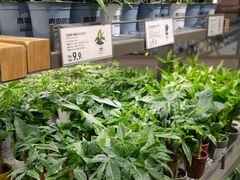 -鹿岛生活(熙地港店)