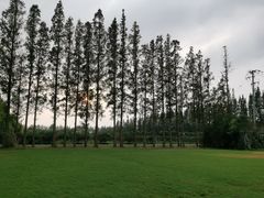 -前小桔亲子创意农场·草莓采摘·露营烧烤