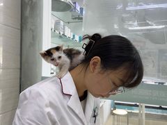 -瑞派动物医院·猫专科·至诚(江南中分院)