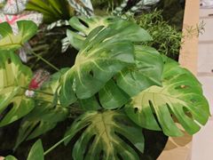 -霸王茶姬(南亚风情第壹城店)