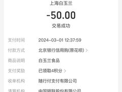 -白玉兰传统小吃