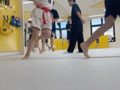-勇气斑马·巴西柔术&跆拳道(浦东三林店)