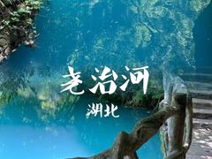 -尧治河旅游度假区
