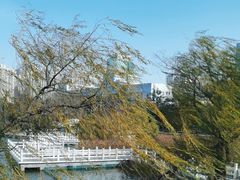 -南山公园