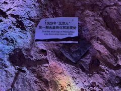 -周口店北京人遗址公园