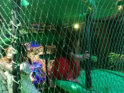 -恐龙探索乐园(磁器口店)