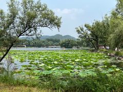 -承德避暑山庄景区
