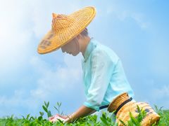 -华祥苑茶馆•国缤茶小蓝罐(普罗旺斯店)