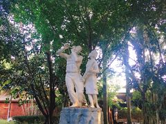 -瑞丽独树成林风景区