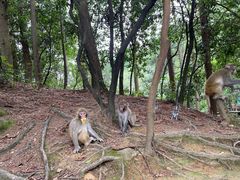 -张家界青和锦江国际酒店