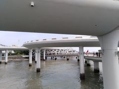 -演武大桥观景平台