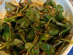 四川折耳叶-富乐山酒店(西黄城根北街店)