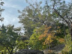 -崂山仰口游览区