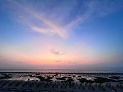 -南汇嘴观海公园