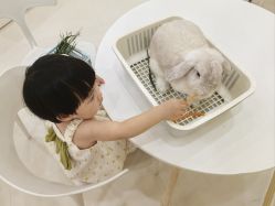 -Moni星球萌宠·小马宝莉·灵蛇·高端高阶全萌宠互动体验俱乐部(红豆国际广场店)