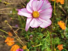 -汉长安城未央宫国家考古遗址公园