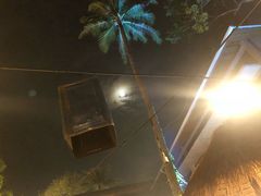 -Naughty Nuri’s Phuket