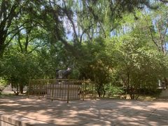 -北京动物园-畅观楼