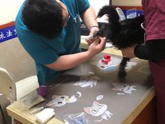 -艾贝尔宠物医院·狂犬免疫点(江山金象城店)