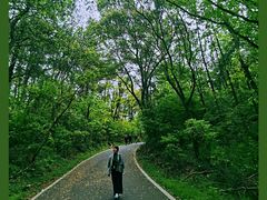 -青龙山国家森林公园