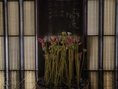 -上海璞麗酒店