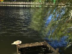 -大连外国语大学(旅顺校区)