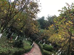 -龙头寺公园