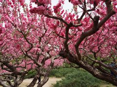 -元大都城垣遗址公园