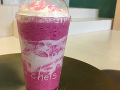 -飞行喵MR PILOT|猫舍·猫咖(静安大融城店)