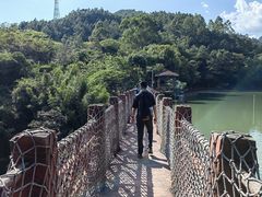 -广州白江湖森林公园