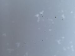 -保路达大师美车(天泰路店)