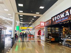 -谢列梅捷沃国际机场