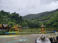 -西双版纳原始森林公园