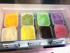 -成裕雪糕店(士多店)