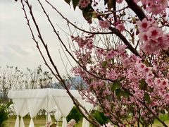 -福建鲤鱼洲酒店