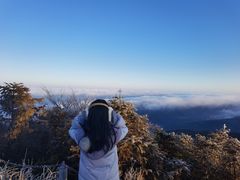 -武陵山森林公园