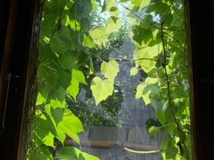 -斯多格书乡(北京大学畅春园店)