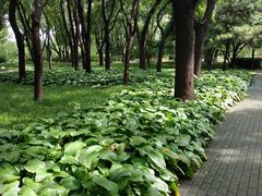 -玲珑塔公园