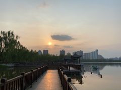 -莲花池公园