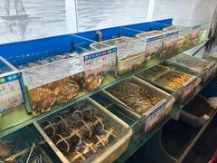 -华盛丰温州大排档(东三环南路店)