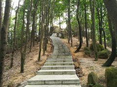 -火炉山森林公园