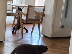 -Me Coffee下午茶艺术空间