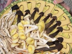 -大理.老字号渝记酸萝卜乌鱼(古城总店)