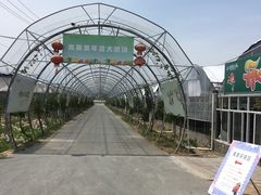 -米果果小镇
