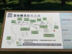 -南宁良凤江国家森林公园