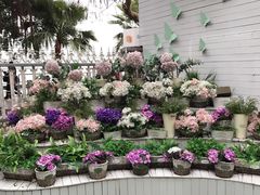 -苏小糖(鼓浪屿三丘田花园店)