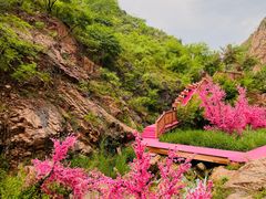 -桑干河大峡谷旅游区