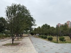 -太阳宫公园